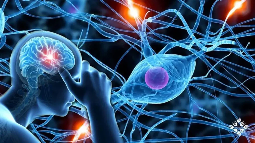 نورولوژی چیست و چرا مراجعه به متخصص اهمیت دارد؟