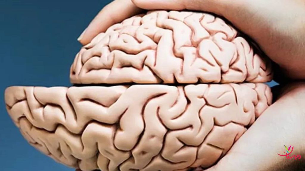 علائم آتروفی مغز 