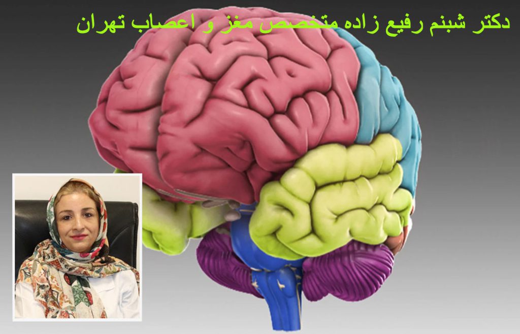 بهترین فوق تخصص مغز و اعصاب بزرگسالان در تهران 